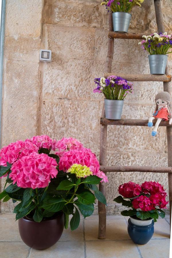 Il Saraceno Apartment Giovinazzo Luaran gambar